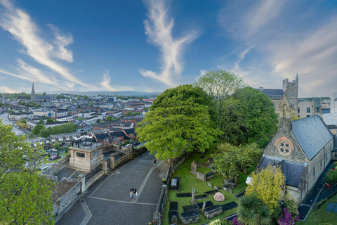 Belfast: Giant's Causeway and Derry Guided Day Trip