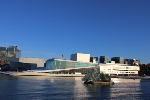 Oslo: Oslofjord Electric Boat Cookie Cruise