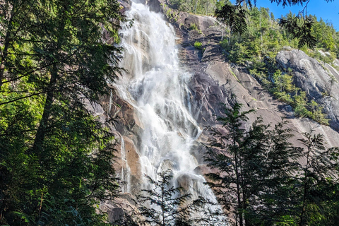 جولة ويسلر، جندول سي تو سكاي، شلال شانون وبحيرة جريناجعل جولتك خاصة