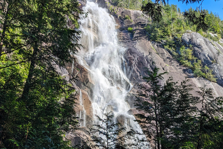 جولة ويسلر، جندول سي تو سكاي، شلال شانون وبحيرة جريناجعل جولتك خاصة