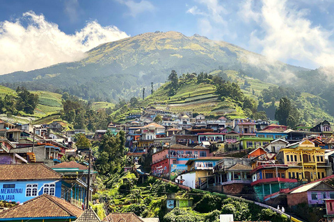 Selogriyo Temple and Java Rice Terrace Guided Trekking Tour Selogriyo Temple Java Rice Terrace Guided Trekking Tour