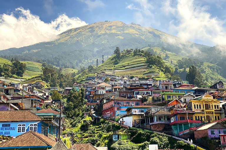 Selogriyo Temple and Java Rice Terrace Guided Trekking Tour Selogriyo Temple Java Rice Terrace Guided Trekking Tour