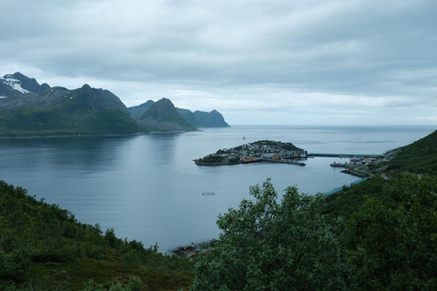 Dagtrip naar het eiland Senja met Chinese en Engelse gids