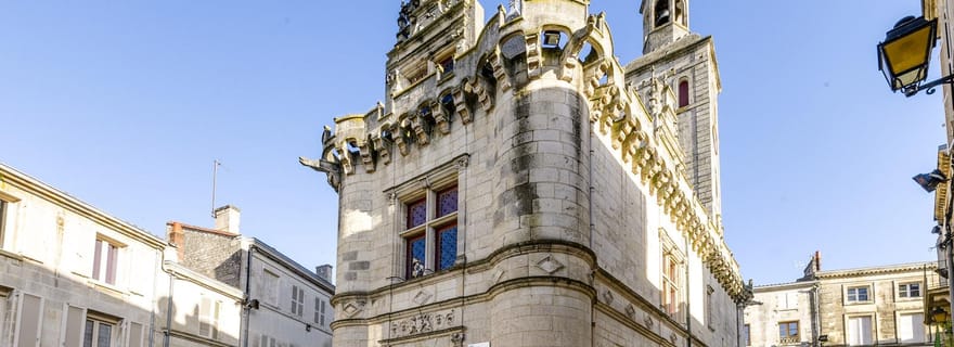 Niort : visite guidée à pied de la ville