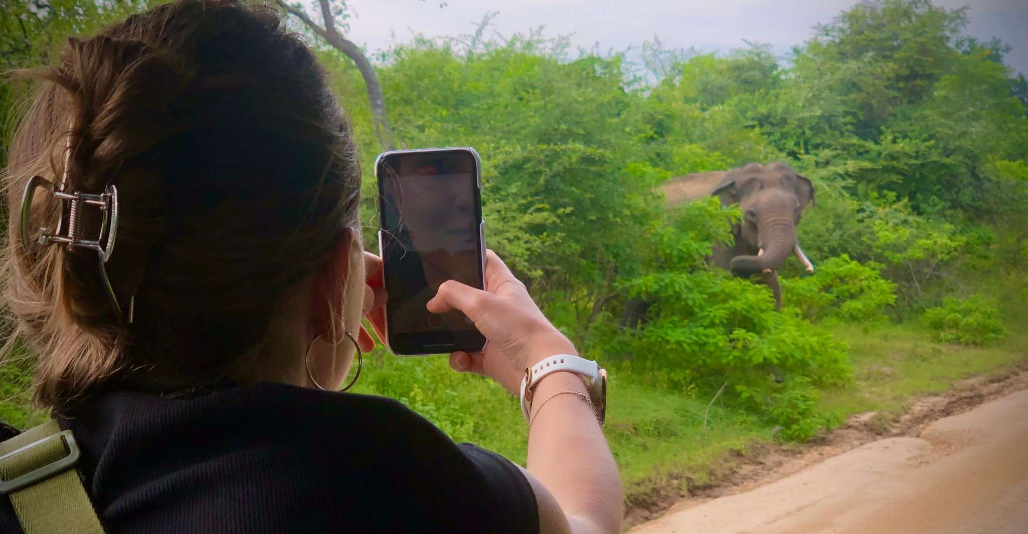 Halbtägige Wildtiersafari im Udawalawe-Nationalpark - Housity