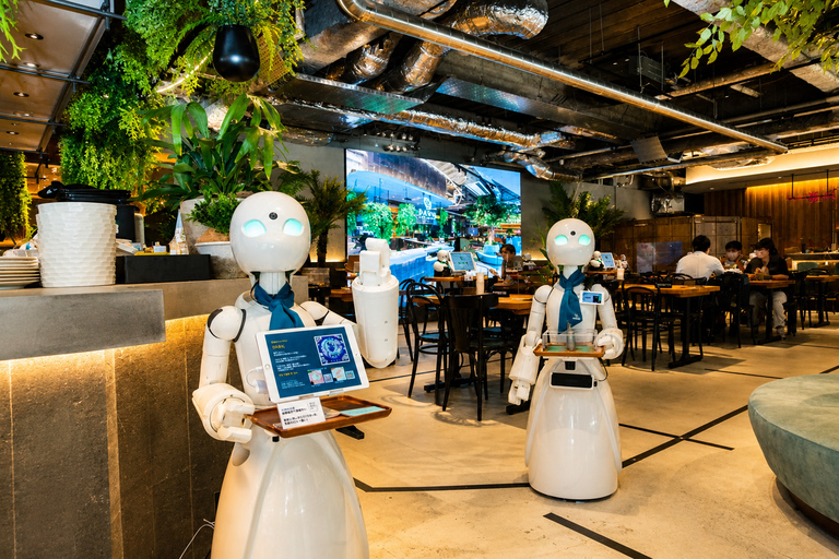 Tokyo: Robot Café Experience With Japanese Meal & Guide Tour