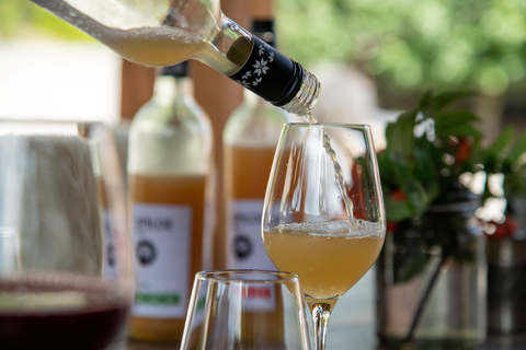 Bergen: Hardangerfjord cider tasting & waterfall Tour
