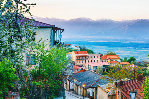 From Tbilisi: Kakheti Day Trip with Wine Tasting