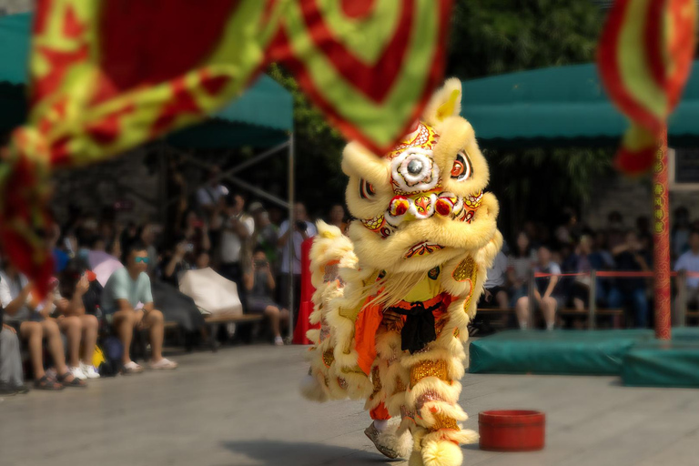 Guangzhou: Foshan Kung Fu Tour with Lion Dance Show