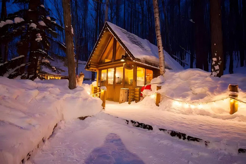 One-Day Tour to Asahiyama Zoo and Biei Blue Pond in Hokkaido
