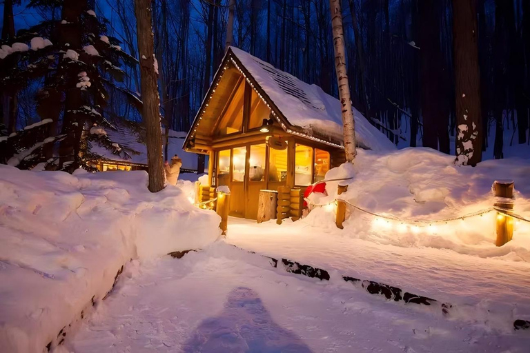 One-Day Tour to Asahiyama Zoo and Biei Blue Pond in Hokkaido