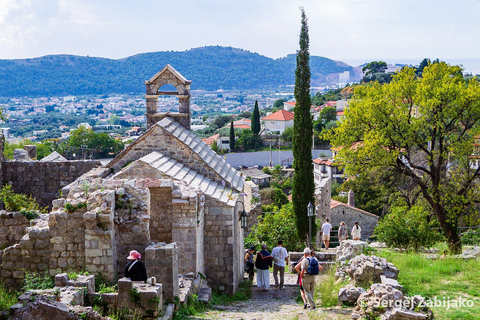 Bar: Montenegro Highlights Tour for Cruise Passengers