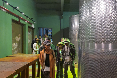 Cape Town: Cruise Passengers sunset Safari & Wine Tour