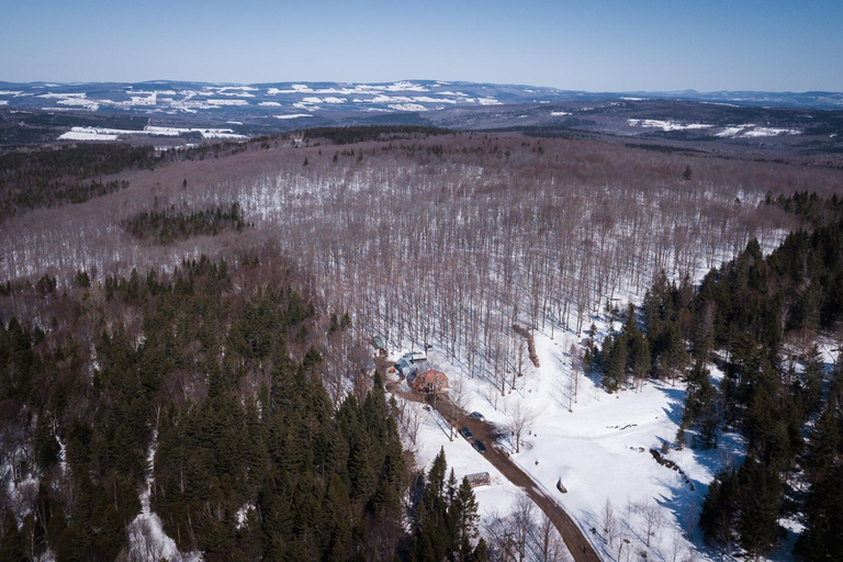 Montréal: Maple Syrup Tasting Conference!