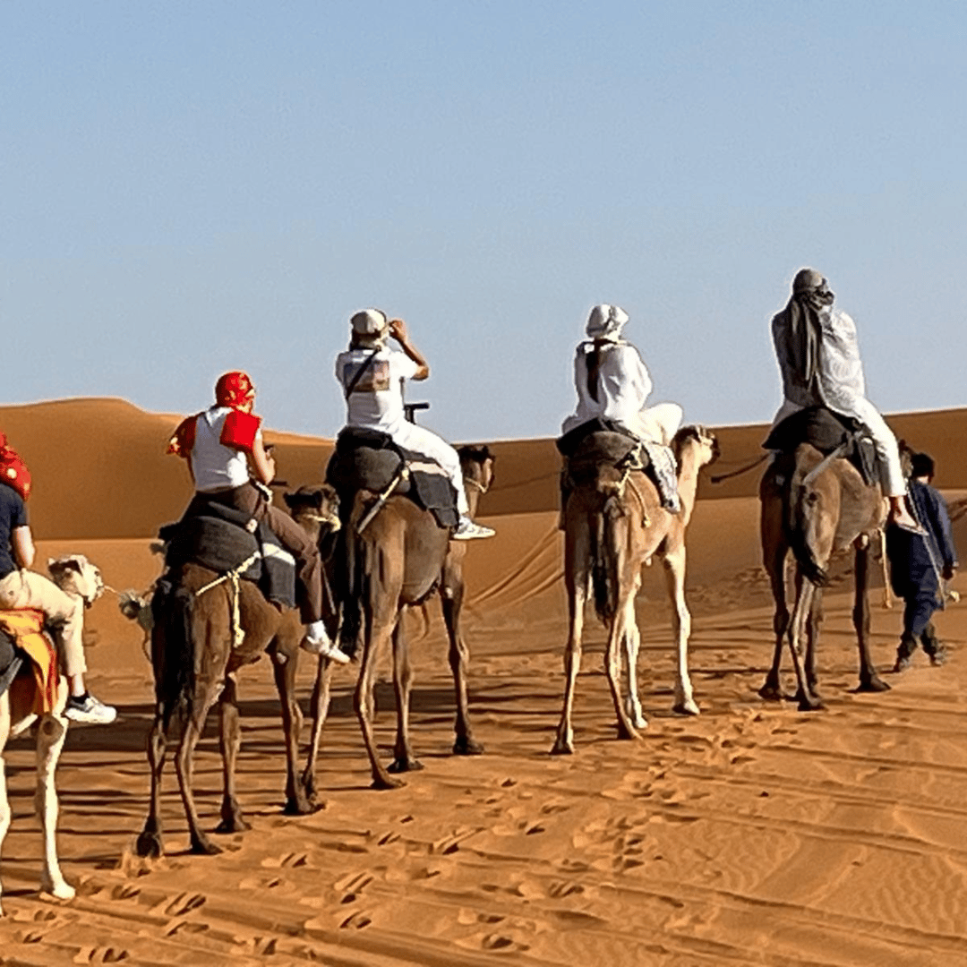 Depuis Fès : 3 jours d'aventure dans le désert via Merzouga - dromadaire