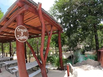 Visita guiada aos Cenotes Casa Tortuga com bilhete de entrada básico
