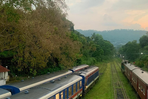 Kandy: Train Tickets to Nuwara Eliya on 2nd or 1st Class