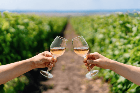 From Lisbon: Évora + Chapel of Bones + Monsaraz + Alentejo Wines Évora Tour + MONSARAZ + Wine Tasting