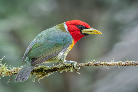 Vogelbeobachtung und Naturwanderung Tour bei KM18