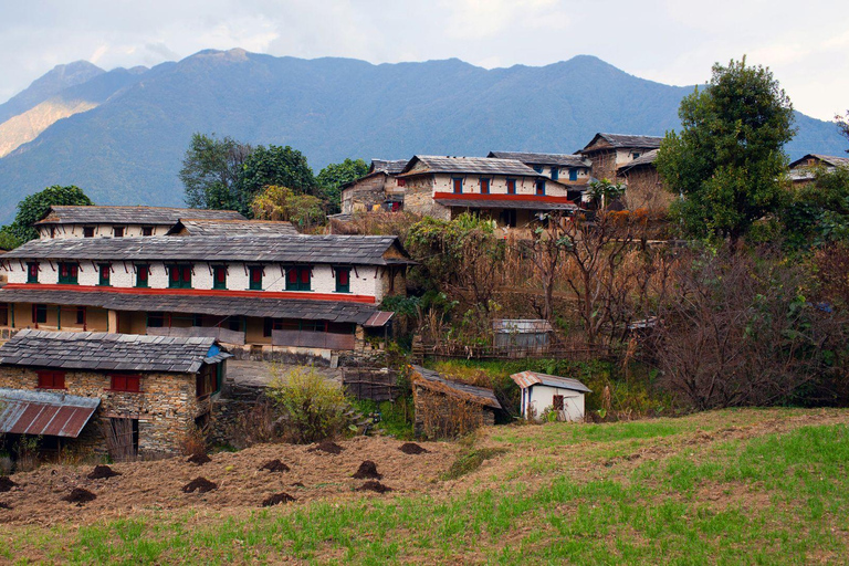 Pokhara: Dhaulagiri-Annapurna Community Trek 9-Day Tour