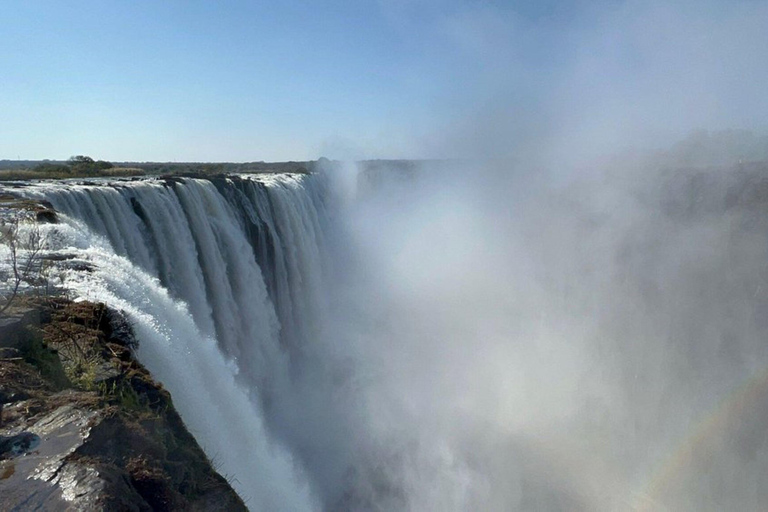 Victoria Falls: Zambezi River Cruise and Rhino Encounter
