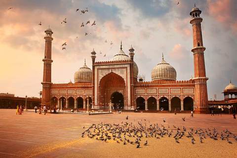 Excursão particular de 1 dia ou de meio dia pela cidade de Nova Délhi e pela cidade antigaTour guiado na cidade de Old Delhi, com tudo incluído, de carro