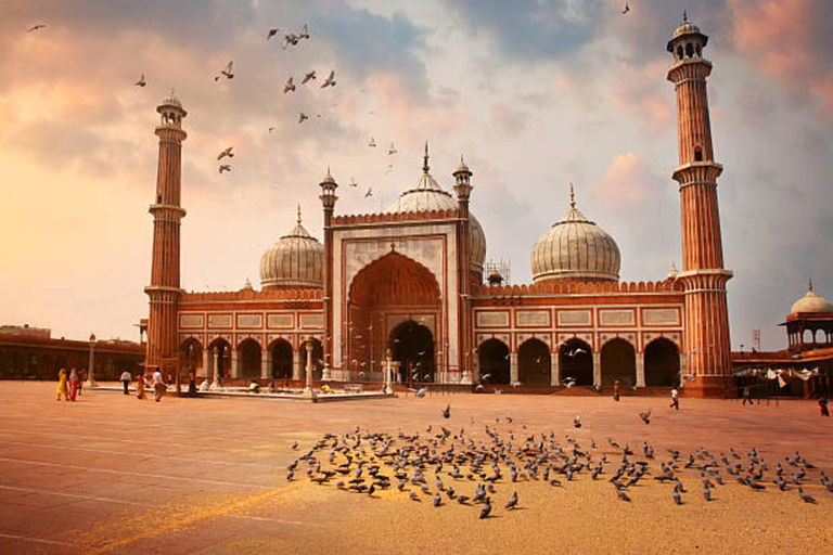 Excursão particular de 1 dia ou de meio dia pela cidade de Nova Délhi e pela cidade antigaTour guiado na cidade de Old Delhi, com tudo incluído, de carro