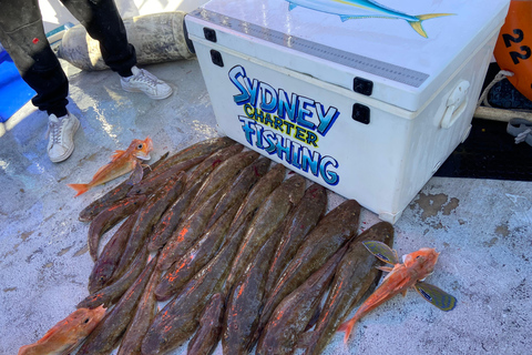 Sydney: 4 Hour Offshore Deep Sea Fishing Charter From Manly