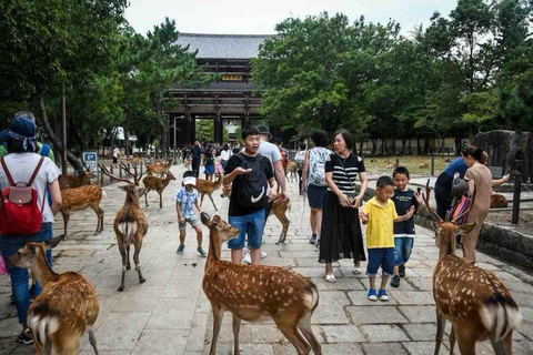 From Osaka/Kyoto: Nara Private Day Tour with Driver/Guide