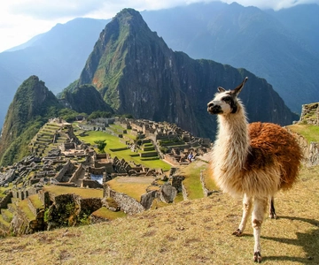 Machu Picchu: Government-Issued Entry Ticket