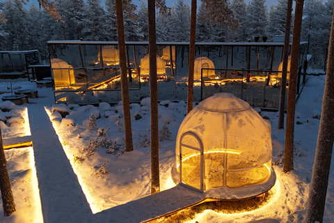 Rovaniemi: jantar privado em iglu com aurora borealRovaniemi: jantar privado no Aurora Dome com transfers
