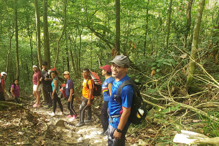 Trinidad: Excursión a la Cascada de Aripo con experiencia de natación