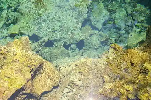 Central Long Island 3 Hour Guided Land Tour
