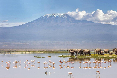 Nairobi: Lake Nakuru Kayak Tour with Game Drive & Pickup