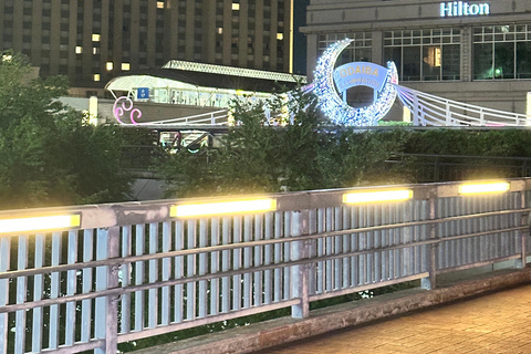 Tokyo: tour notturno privato con passaggio in hotel