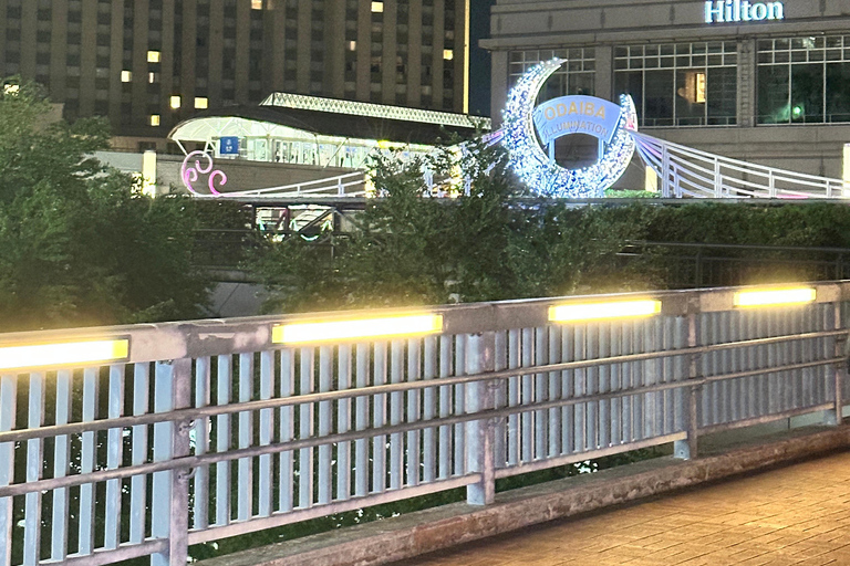 Tokyo: tour notturno privato con passaggio in hotel