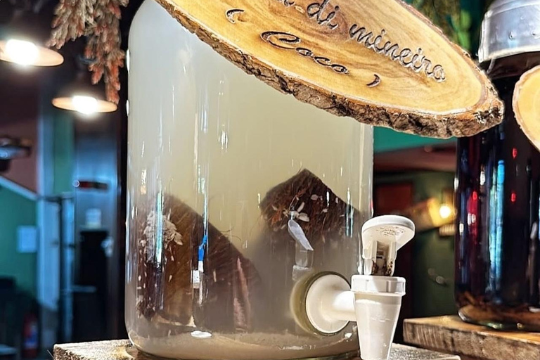 Mendanha-vattenfallet Rio de Janeiro + Lunch + TransportCachoeira do Mendanha Rio de Janeiro + Lunch + Transport