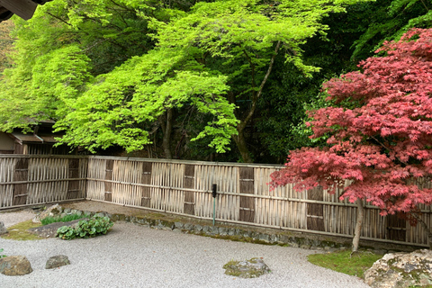 Kyoto: Tour Privado Cultural e Histórico en Español