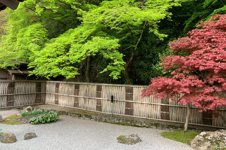 Kyoto: Tour Privado Cultural e Histórico en Español