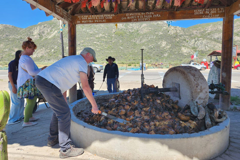 Oaxaca: Barrel-Bus Tour with Pulque, Agave & Mezcal Tastings
