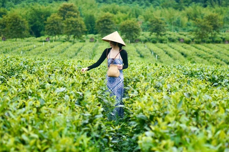 Hangzhou: Tea Picking, Tea Hills Hike & BBQ