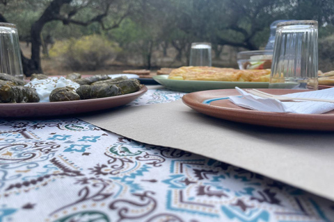 Heraklion: Brunch med kretensiska bönder och rundtur i olivlund