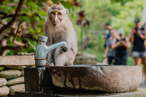 Nagano Tokyo: Snow Monkey Private Day Tour Hotel Pick & Drop Snow Monkey Private Day Tour Hotel Pick & Drop Off In Crown