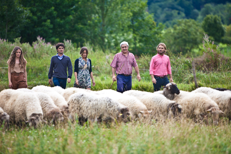 Segura: Visit to a D.O. Idiazabal cheese factory with food tasting