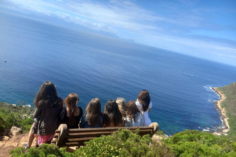 Città del Capo: Pinguini e Capo di Buona Speranza Tour di mezza giornata