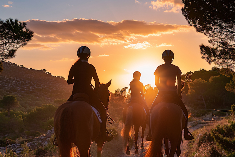 Ibiza: Private Horseback Riding Adventure for All Levels