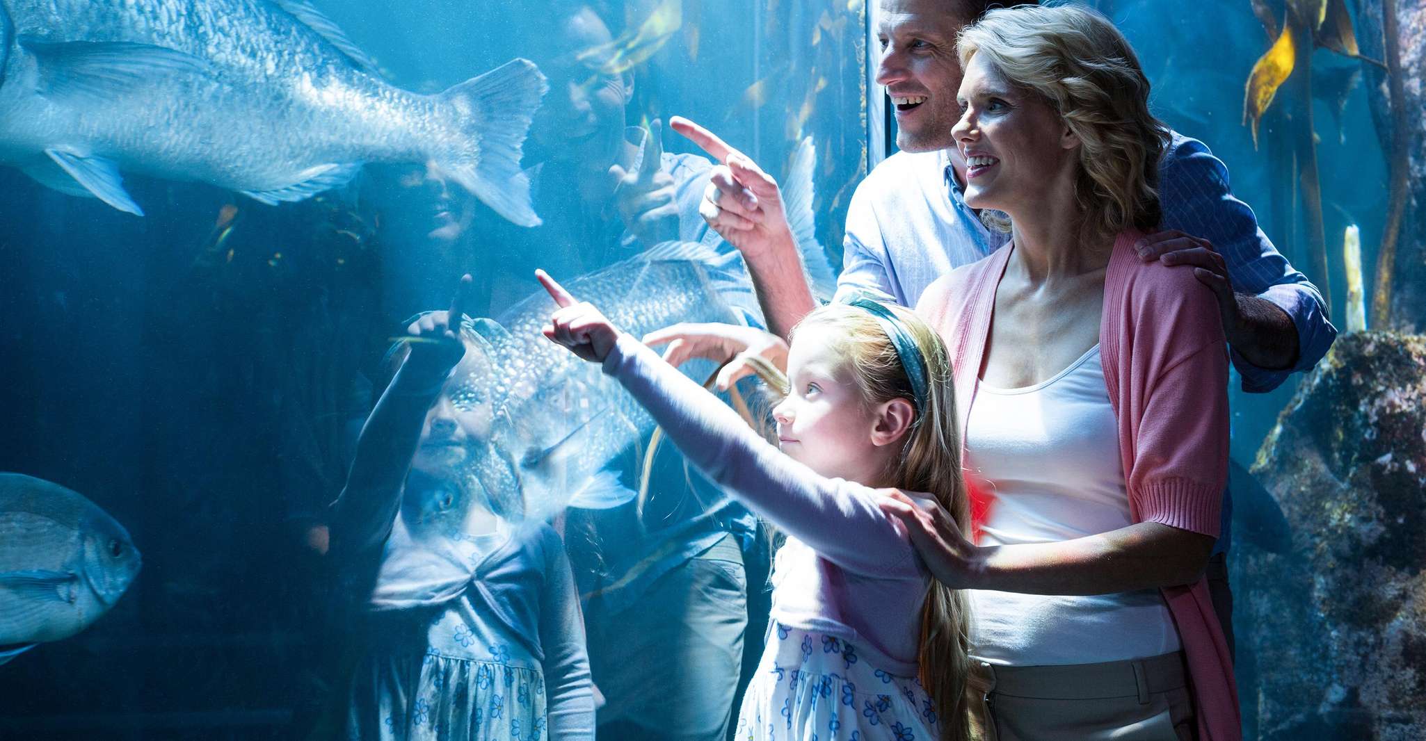 Chicago, All-Inclusive Pass with 25+ Attractions - Housity