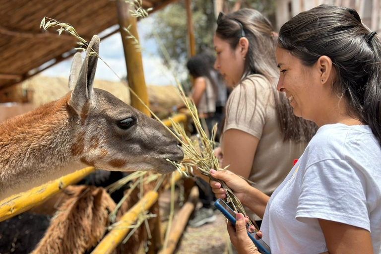 Cusco: Photographic Experience City Tour