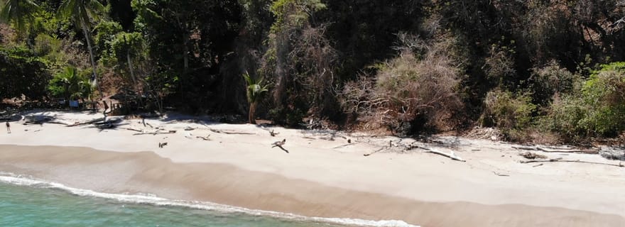 Paquera : excursion de plongée en apnée à l'île Tortuga