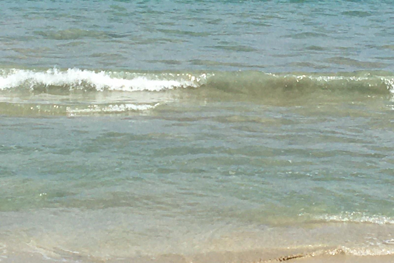 Lautoka Waterfront, hotele Vuda do plaży Natadola w obie strony